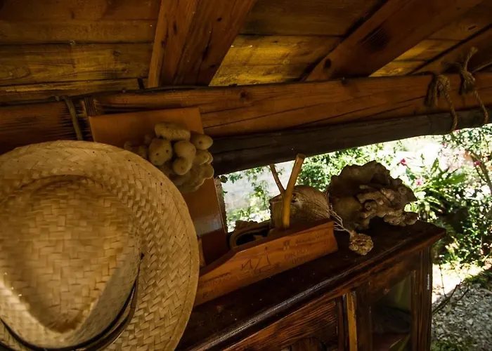 Mit Herrlichem Meerblick By Interhome Apartament Pašman